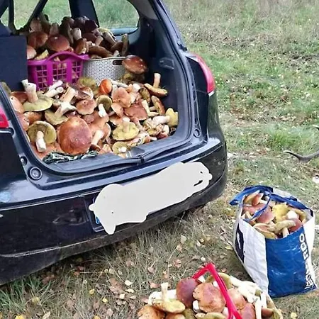 Agroturystyka Agat Gospodarstwo agroturystyczne *