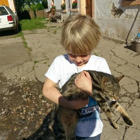Agroturystyka Agat *
